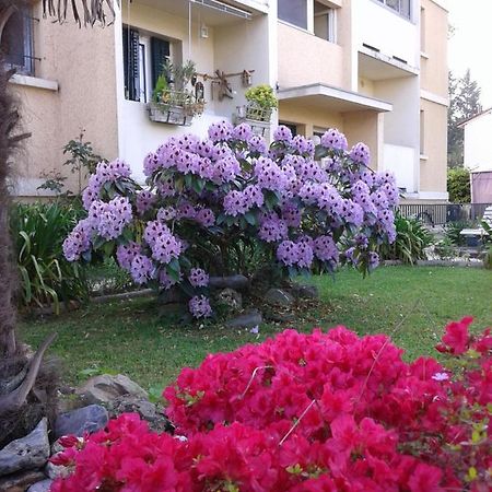 Les Floralies Bis Daire Pau Dış mekan fotoğraf