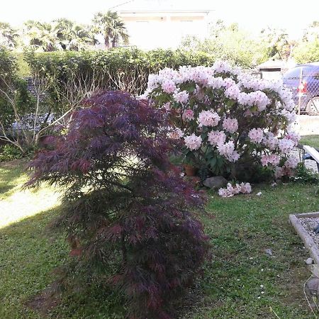 Les Floralies Bis Daire Pau Dış mekan fotoğraf