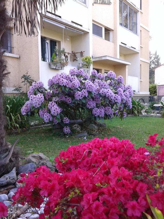 Les Floralies Bis Daire Pau Dış mekan fotoğraf